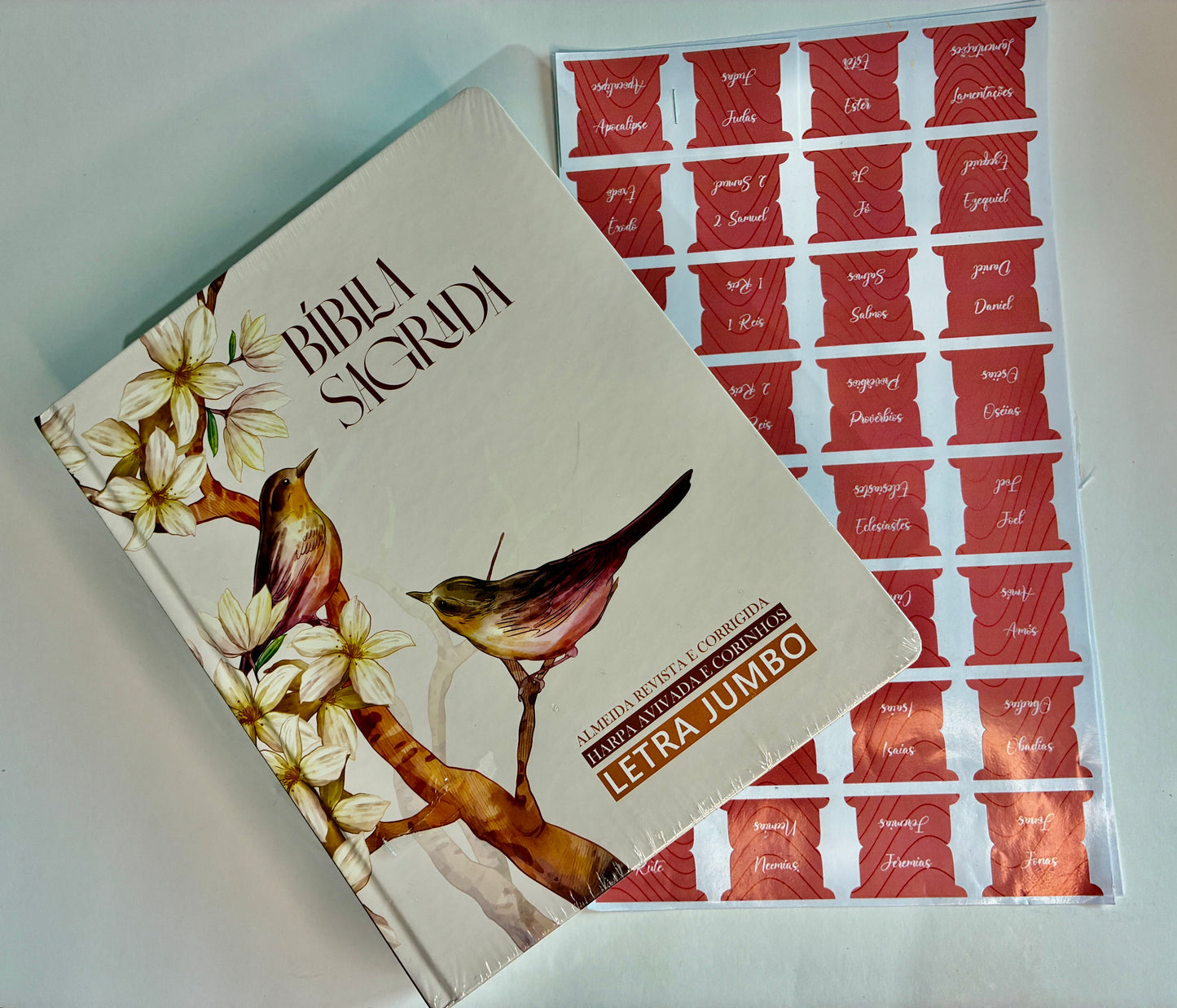 Kit Bíblia Pássaros — Letra Jumbo + Marcadores Adesivos