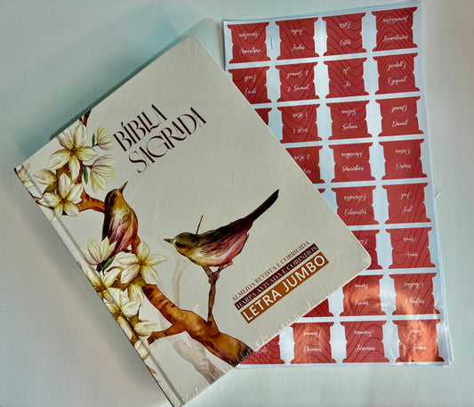 Kit Bíblia Pássaros — Letra Jumbo + Marcadores Adesivos