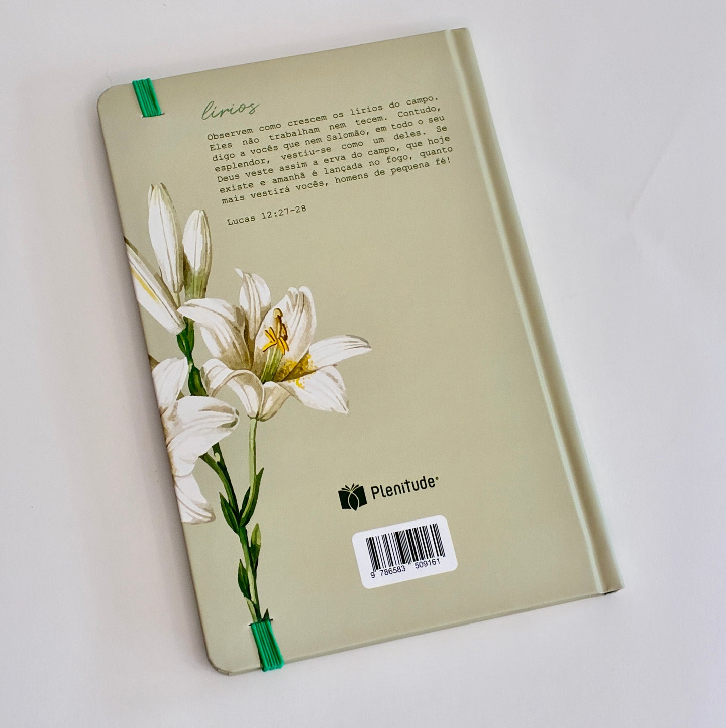 Kit Lírios — Bíblia + Caderno de Orações